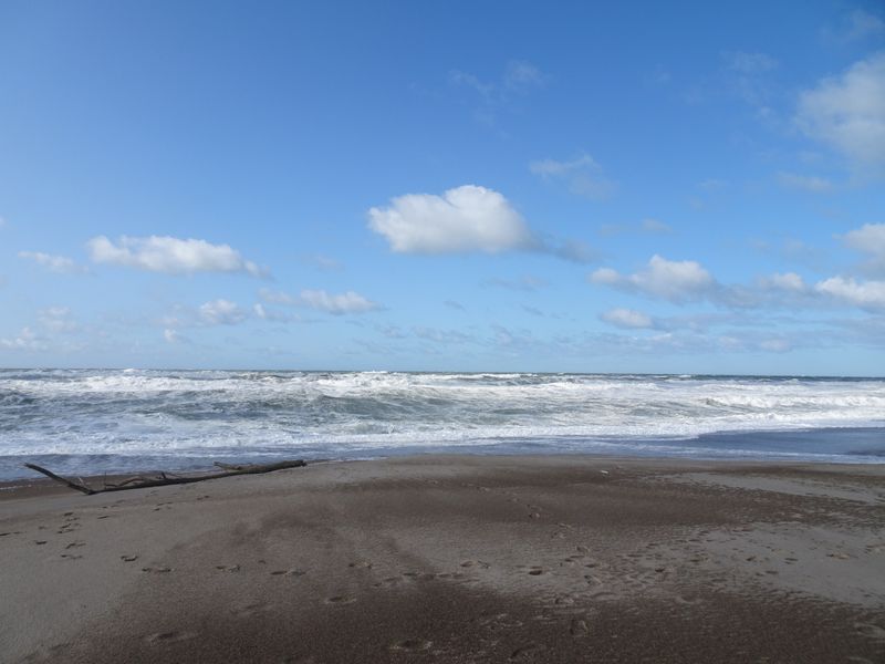 Brede zandstrand met een aangespoeld stuk drijfhout en schuimende golven