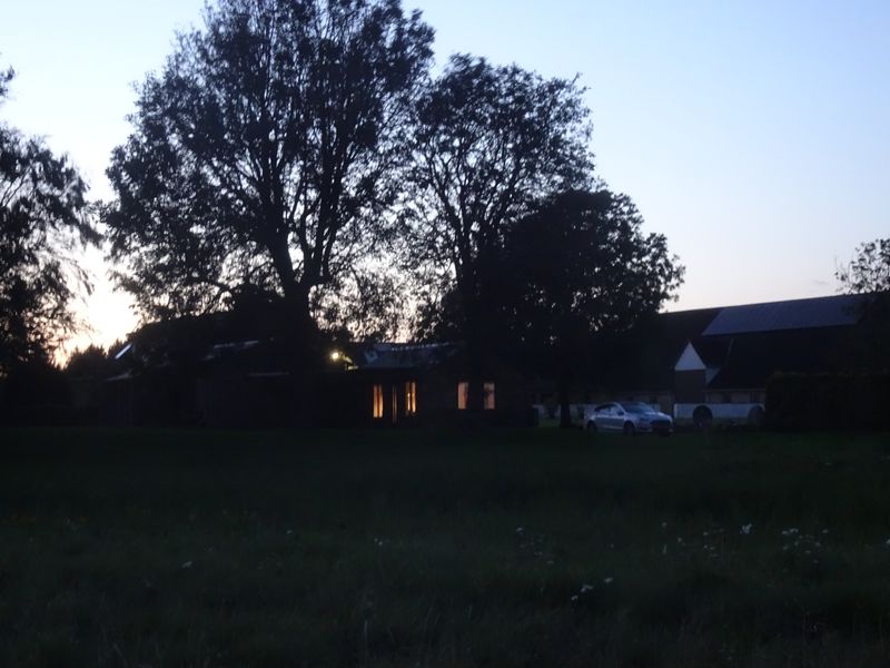 Grote bomen en een laag gebouw met verlichte ramen in de avondschemering