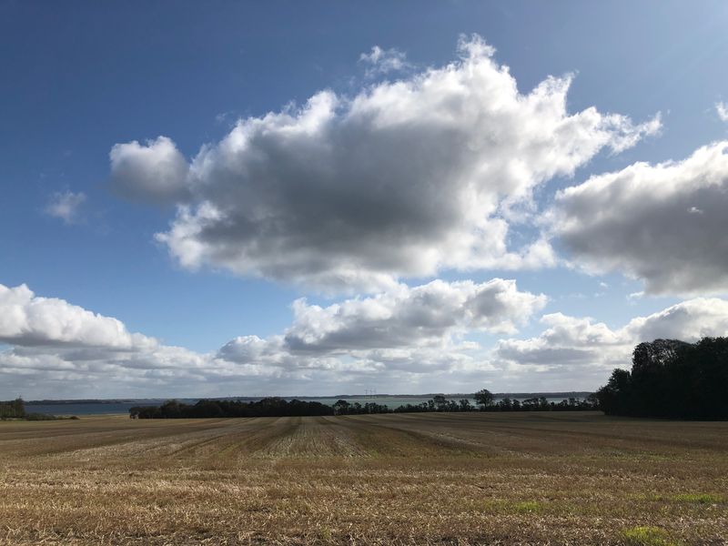 Stoppelveld onder een lucht met grote witte wolken, met water in de verte
